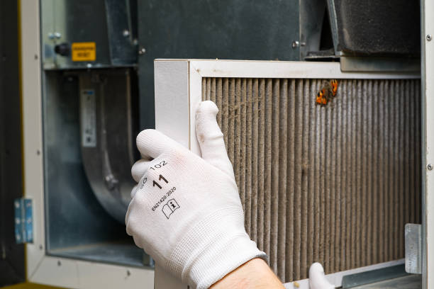 Best Local Air Duct Cleaning Services  in Man, WV